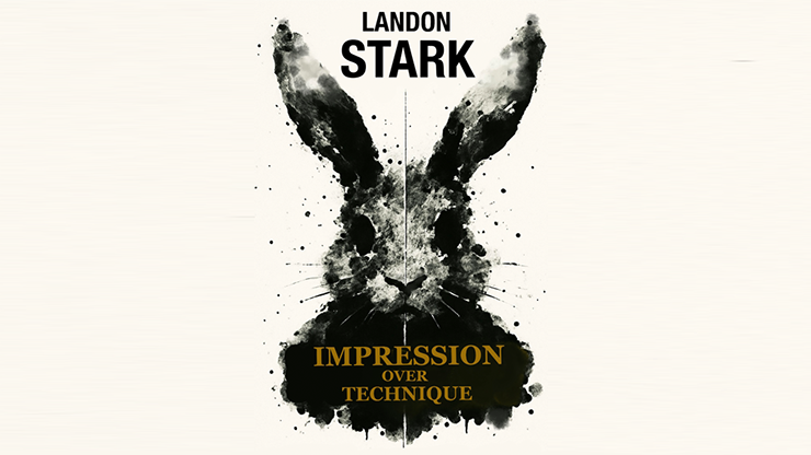 Impression Over Technique by Landon Stark - ebook